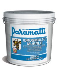 Domus Idrosmalto Murale Lucido.jpg